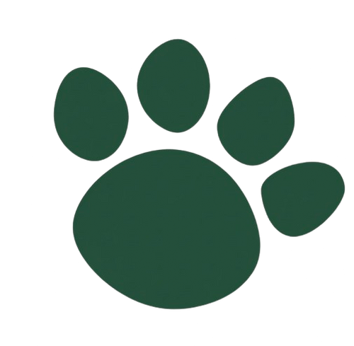 Paws Shop Haven