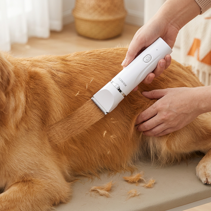 Realistic at-home dog trimming with visible clipped fur
